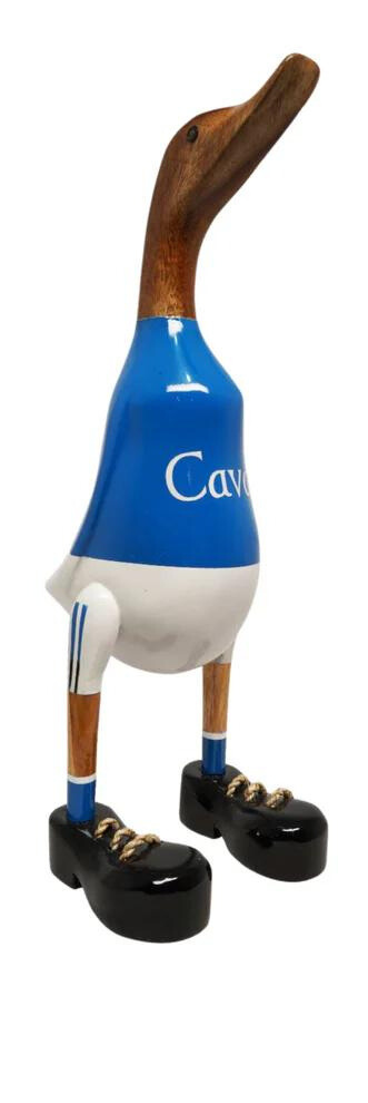 Cavan Duck
