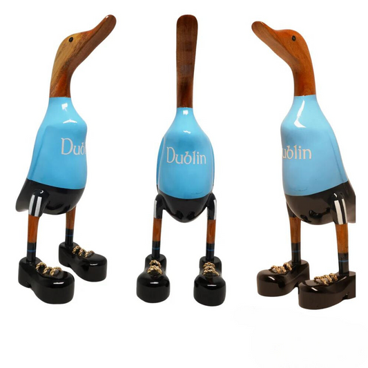 Dublin Duck