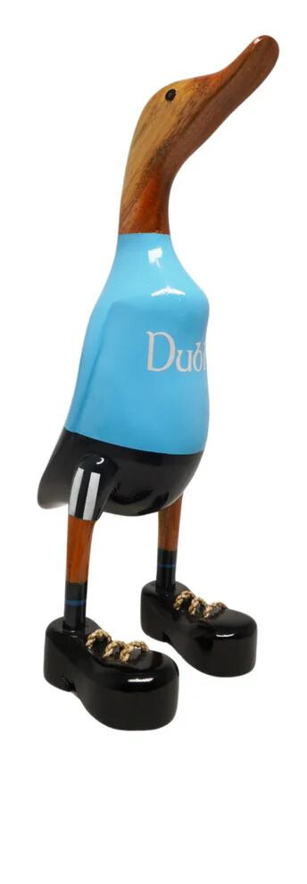 Dublin Duck