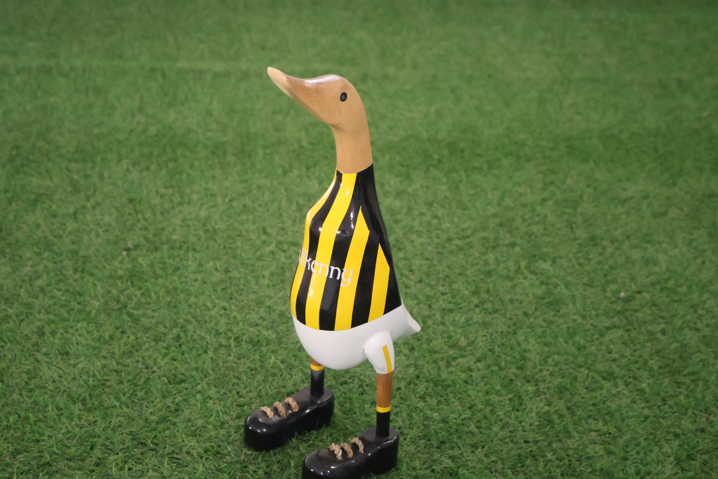 Kilkenny Duck
